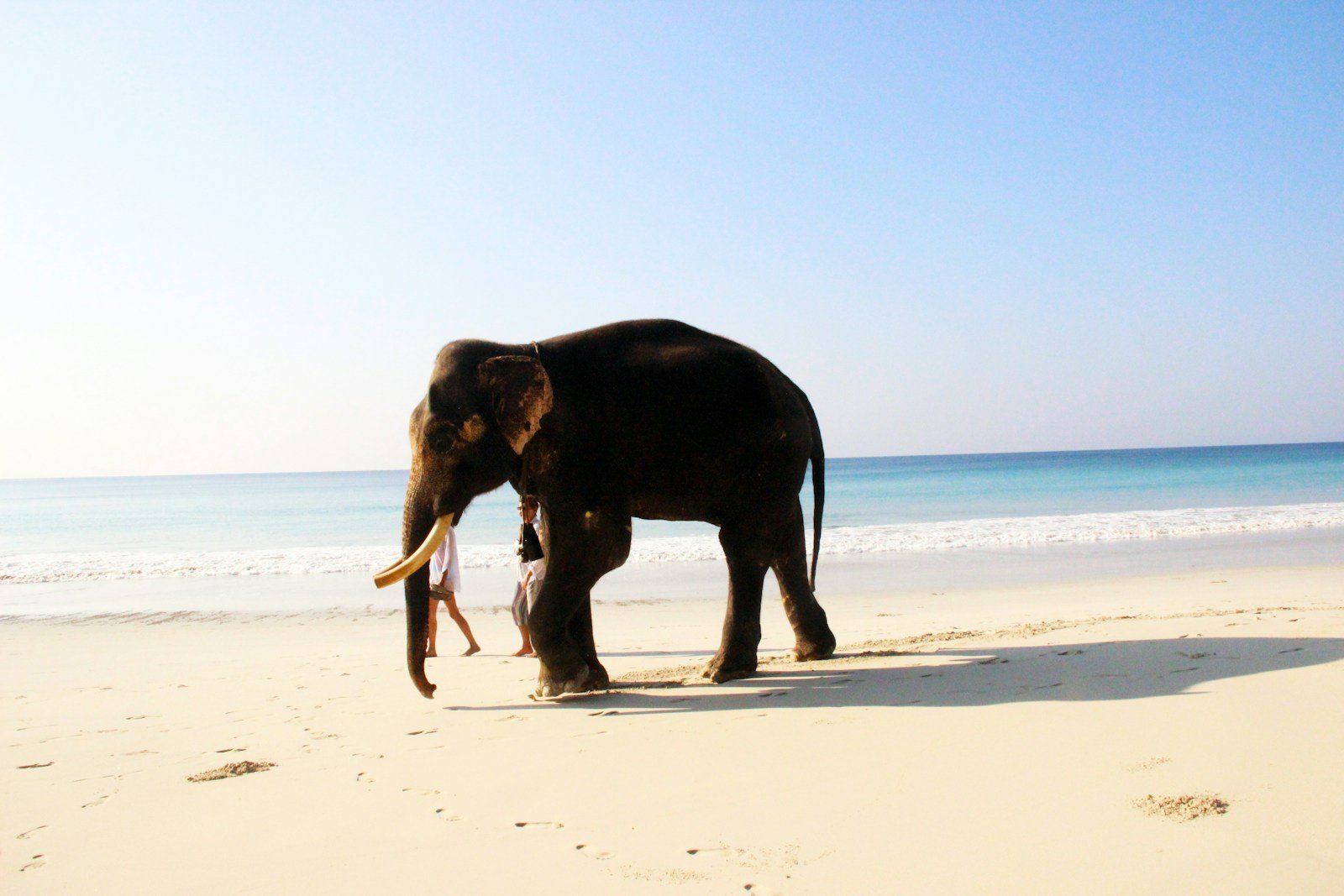 6 NIght Kerala Family tour package