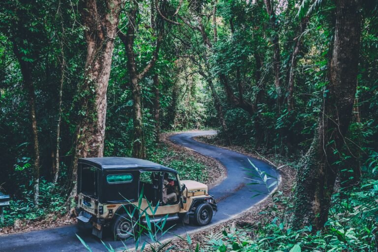 8 NIght Kerala Family tour package