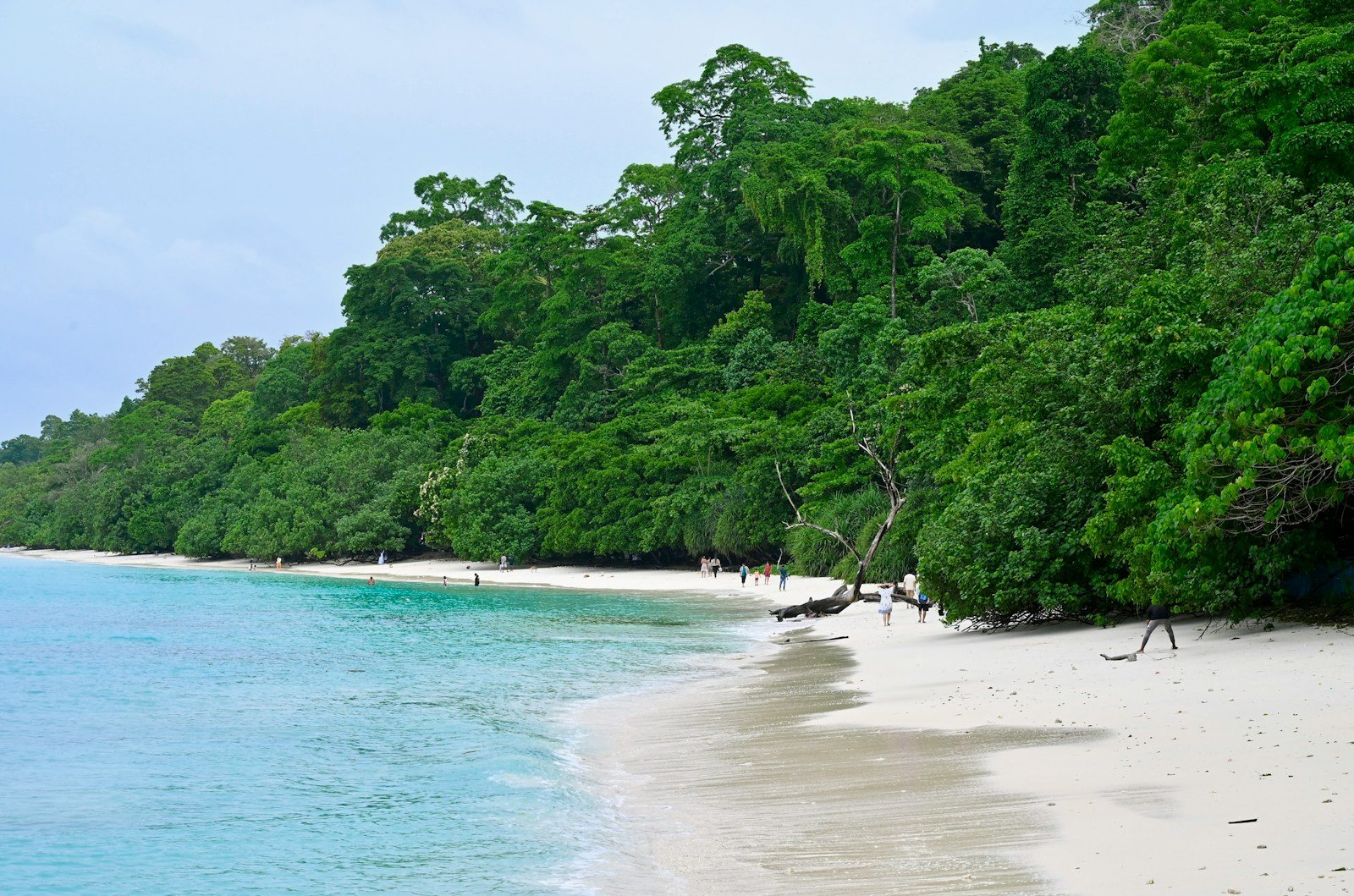 6 Nights and 7 Days Adventure Tour Packages for Kerala